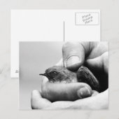 Slaat - briefkaart (Voorkant / Achterkant)