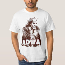 Slag om Adwa 