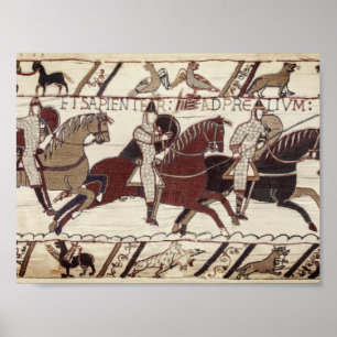 Slag om haasjes - Norman messghts Poster