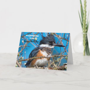 Slagende vogelpos Birthday Kaart