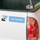 Slagmeeuw op een muur in Rome Bumpersticker (Op Truck)