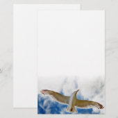 Slagzeug in de lucht dicht bij de blauwe lucht briefpapier (Voorkant / Achterkant)