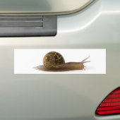 slak bumpersticker (Op auto)