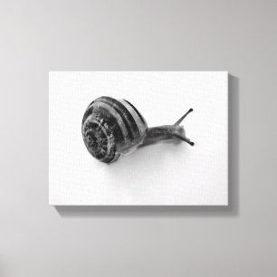 slak canvas afdruk