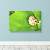 slak canvas afdruk (Insitu (Houten vloer))