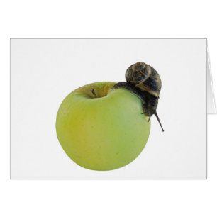 Slak en appel