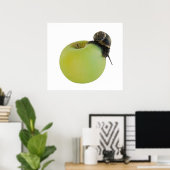 Slak en appel poster (Thuiskantoor)