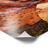 slak foto afdruk (Hoek)