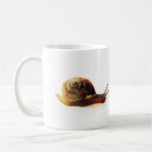 slak koffiemok (Links)