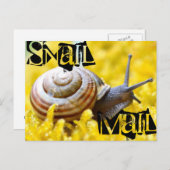 Slak Mail Briefkaart (Voorkant / Achterkant)