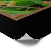 Slak met gele ventilator poster (Hoek)