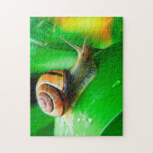 Slak op blad close-up Jigzaag Puzzle Legpuzzel (Verticaal)