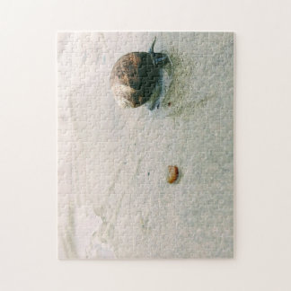 Slak op het strand Puzzle Legpuzzel