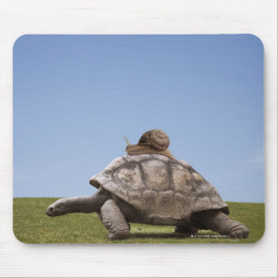 Slak over een schildpad muismat