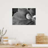 Slak Poster (Keuken)