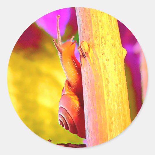 slak ronde sticker (Voorkant)