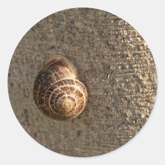 slak ronde sticker (Voorkant)