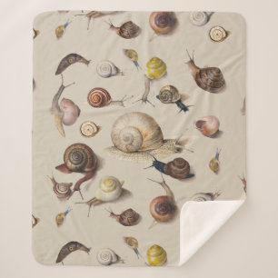 Slak Slug Garden Pet Gastro-pod Botanische slakken Sherpa Deken