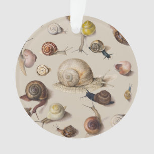 Slak Tuin Pet Gastropod Slak Botanische slakken Ornament