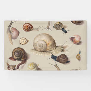 Slak Tuin Pet Gastropod Slak Botanische slakken Spandoek
