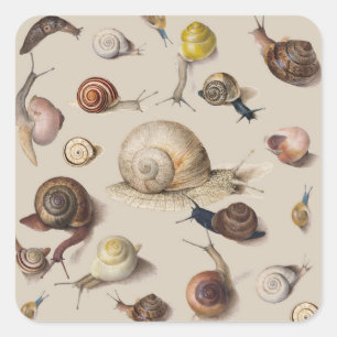 Slak Tuin Pet Gastropod Slak Botanische slakken Vierkante Sticker