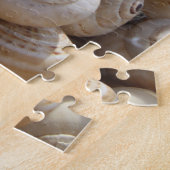 Slakkamer Legpuzzel (Zijkant)