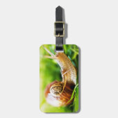 Slakken Bagagelabel (Voorkant verticaal)