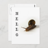 slakken briefkaart (Voorkant / Achterkant)