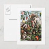 Slakken en slakken briefkaart (Voorkant / Achterkant)