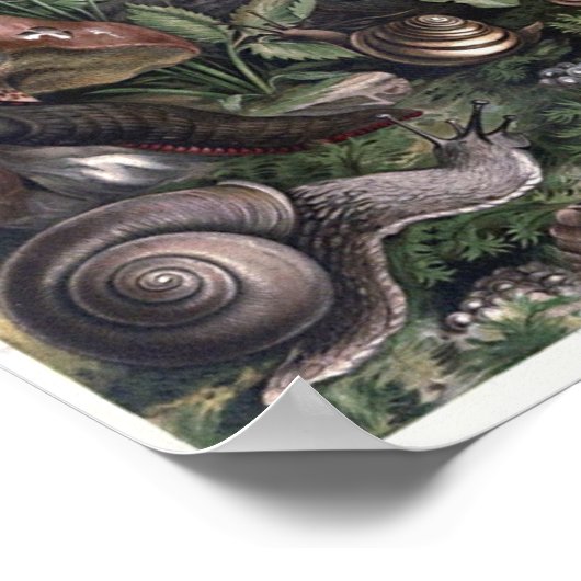 Slakken- en Slugkastkunst Poster (Hoek)