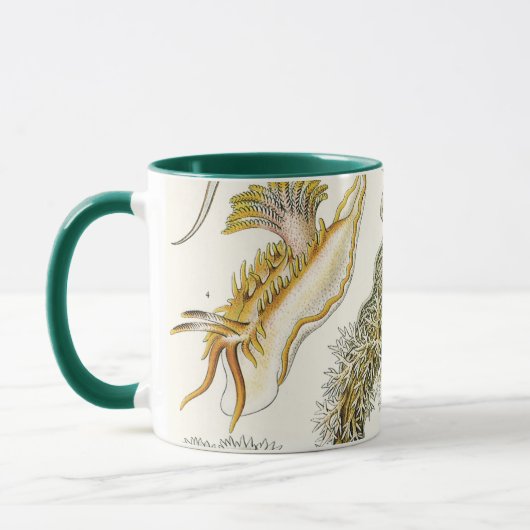 slakken en Zeeen slakken van Ernst Haeckel Mok (Links)