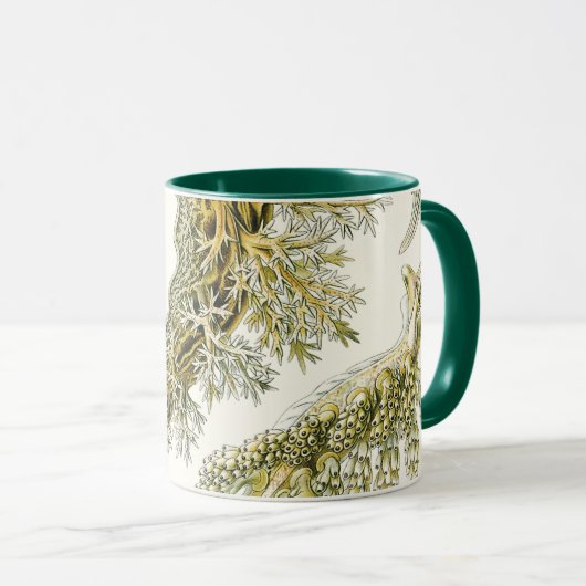  slakken en Zeeen slakken van Ernst Haeckel Mok (Voorkant rechts)