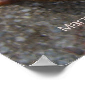 Slakken in liefde poster (Hoek)