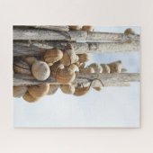 Slakken in Spanje Legpuzzel (Horizontaal)