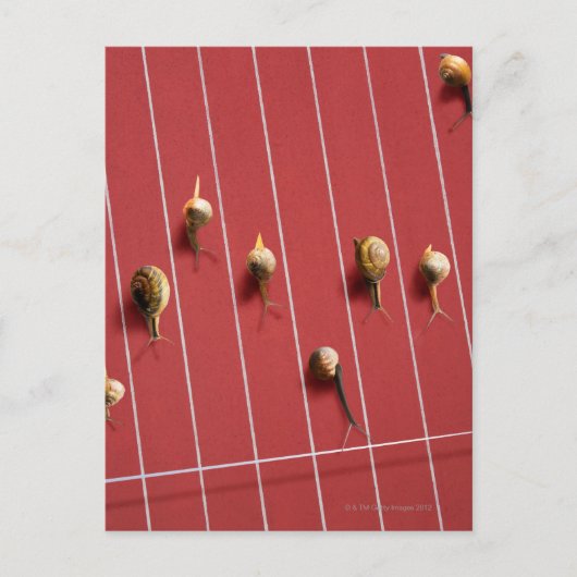 Slakken op de vrachtwagen briefkaart (Voorkant)