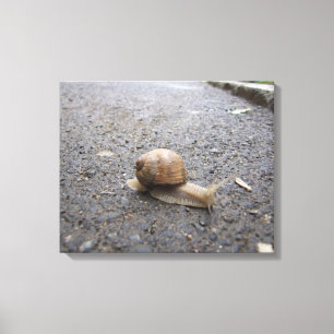 Slakkengang Canvas Afdruk