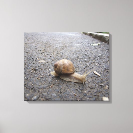 Slakkengang Canvas Afdruk (Voorkant)