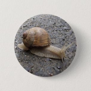 slakkengang ronde button 5,7 cm