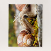 Slakkenkoppel, Legpuzzel (Verticaal)
