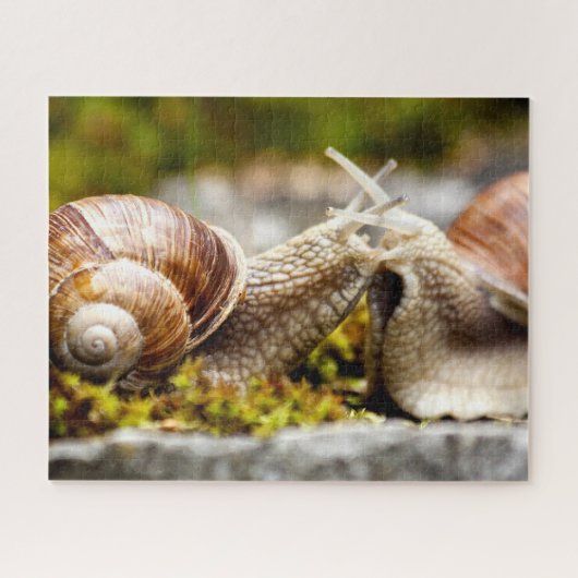 Slakkenkoppel, Legpuzzel (Horizontaal)