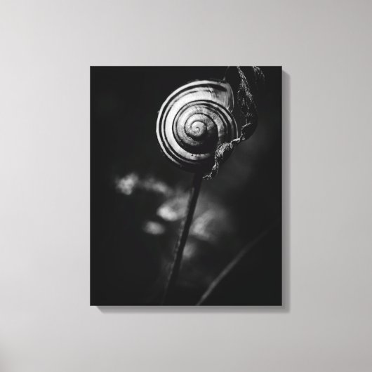 slakkenstaart canvas afdruk (Voorkant)