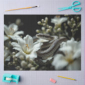 Slang in de tuin tissuepapier (Craft)