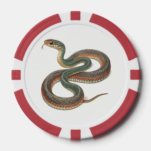 Slang Poker Chips (Voorkant)