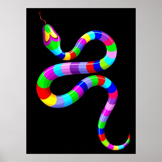 Slang Psychedelic Rainbow Kleuren Poster (Voorkant)