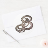 Slangen Stickers (Envelop)