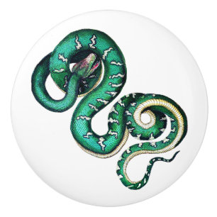  slangenillustratie reptiel groen wit keramische knop