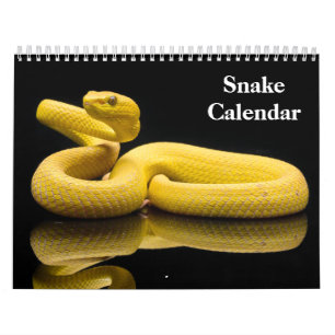 Slangenkalender 2026 kalender