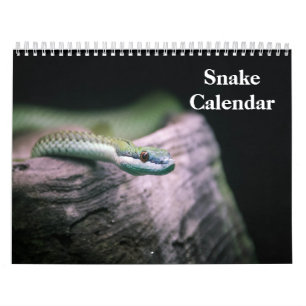 Slangenkalender 2026 kalender