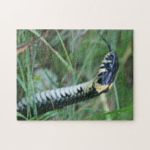 Slangenkop Legpuzzel (Horizontaal)