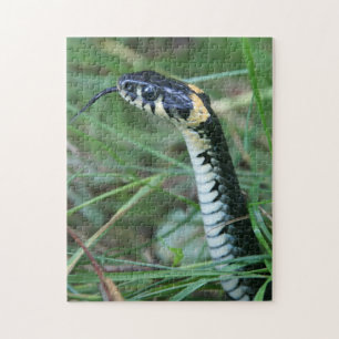Slangenkop Legpuzzel